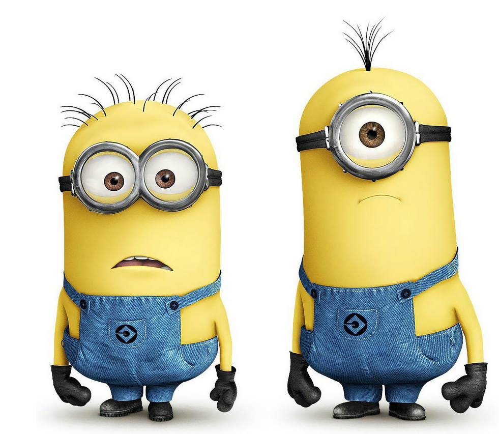 Minions Pair-Anonymous People